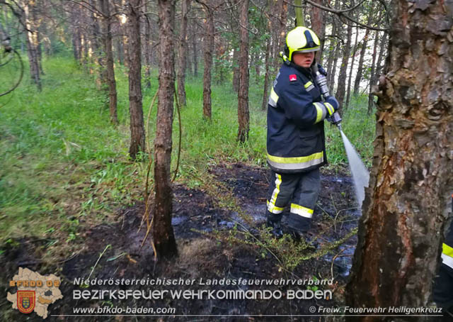 20190706 Entstehender Waldbrand bei Heiligenkreuz noch rechtzeitig entdeckt  Foto: © Freiwillige Feuerwehr Heiligenkreuz
