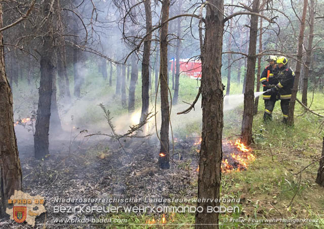 20190706 Entstehender Waldbrand bei Heiligenkreuz noch rechtzeitig entdeckt Foto: © Freiwillige Feuerwehr Heiligenkreuz 20190706 Entstehender Waldbrand bei Heiligenkreuz noch rechtzeitig entdeckt Foto: © Freiwillige Feuerwehr Heiligenkreuz