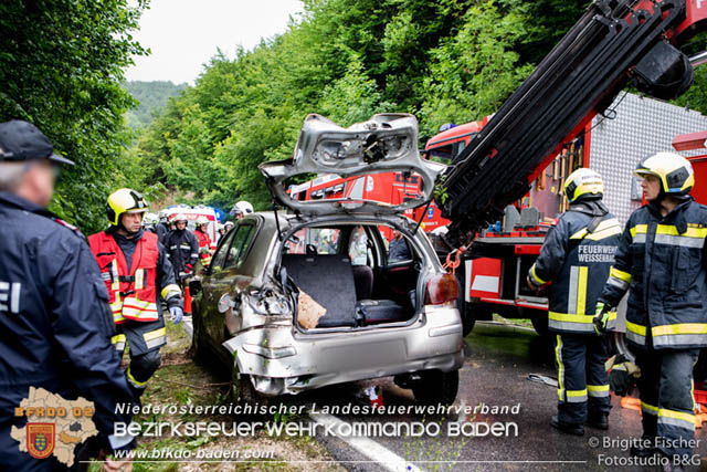 20190713 4 köpfige Familie verunfalt mit Pkw auf der LB 11 bei Neuhaus Foto: © Brigitte Fischer Fotostudio B&G 20190713 4 köpfige Familie verunfalt mit Pkw auf der LB 11 bei Neuhaus Foto: © Brigitte Fischer Fotostudio B&G