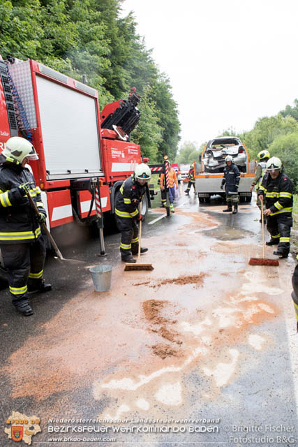 20190713 4 köpfige Familie verunfalt mit Pkw auf der LB 11 bei Neuhaus Foto: © Brigitte Fischer Fotostudio B&G 20190713 4 köpfige Familie verunfalt mit Pkw auf der LB 11 bei Neuhaus Foto: © Brigitte Fischer Fotostudio B&G