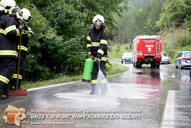20190713 4 köpfige Familie verunfalt mit Pkw auf der LB 11 bei Neuhaus Foto: © Brigitte Fischer Fotostudio B&G 20190713 4 köpfige Familie verunfalt mit Pkw auf der LB 11 bei Neuhaus Foto: © Brigitte Fischer Fotostudio B&G