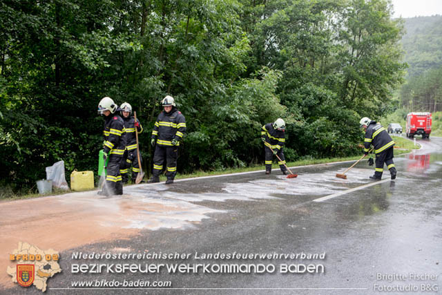 20190713 4 köpfige Familie verunfalt mit Pkw auf der LB 11 bei Neuhaus Foto: © Brigitte Fischer Fotostudio B&G 20190713 4 köpfige Familie verunfalt mit Pkw auf der LB 11 bei Neuhaus Foto: © Brigitte Fischer Fotostudio B&G