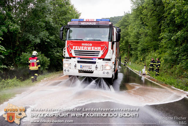 20190713 4 köpfige Familie verunfalt mit Pkw auf der LB 11 bei Neuhaus Foto: © Brigitte Fischer Fotostudio B&G 20190713 4 köpfige Familie verunfalt mit Pkw auf der LB 11 bei Neuhaus Foto: © Brigitte Fischer Fotostudio B&G