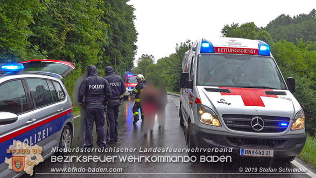 20190713 4 köpfige Familie verunfalt mit Pkw auf der LB 11 bei Neuhaus Foto: © Stefan Schneider BFK Baden 20190713 4 köpfige Familie verunfalt mit Pkw auf der LB 11 bei Neuhaus Foto: © Stefan Schneider BFK Baden