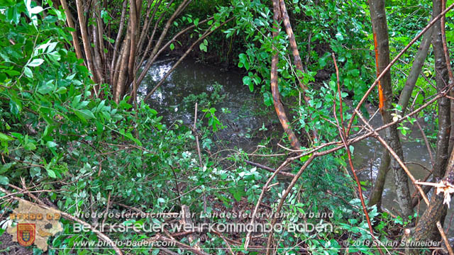 20190713 4 köpfige Familie verunfalt mit Pkw auf der LB 11 bei Neuhaus Foto: © Stefan Schneider BFK Baden 20190713 4 köpfige Familie verunfalt mit Pkw auf der LB 11 bei Neuhaus Foto: © Stefan Schneider BFK Baden
