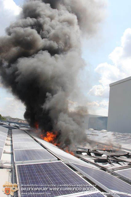 20190715 Brand mehrerer Photovoltaikpaneele am Dach einer Halle im Gewerbepark-Traiskirchen Foto: © Hans Dietl FF Möllersdorf 20190715 Brand mehrerer Photovoltaikpaneele am Dach einer Halle im Gewerbepark-Traiskirchen Foto: © Hans Dietl FF Möllersdorf