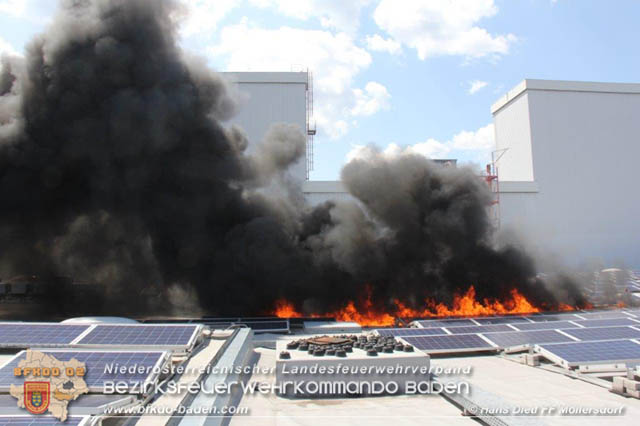 20190715 Brand mehrerer Photovoltaikpaneele am Dach einer Halle im Gewerbepark-Traiskirchen Foto: © Hans Dietl FF Möllersdorf 20190715 Brand mehrerer Photovoltaikpaneele am Dach einer Halle im Gewerbepark-Traiskirchen Foto: © Hans Dietl FF Möllersdorf