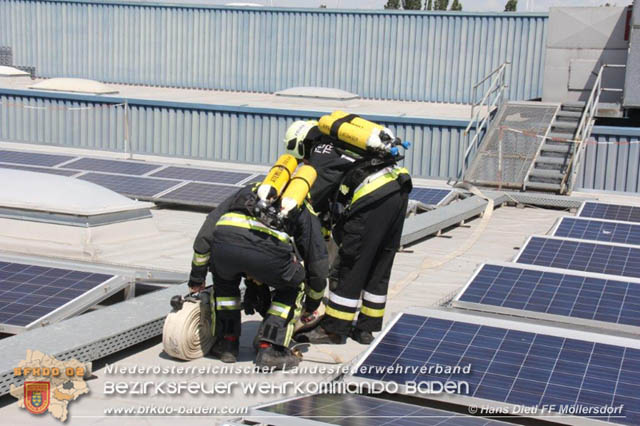 20190715 Brand mehrerer Photovoltaikpaneele am Dach einer Halle im Gewerbepark-Traiskirchen Foto: © Hans Dietl FF Möllersdorf 20190715 Brand mehrerer Photovoltaikpaneele am Dach einer Halle im Gewerbepark-Traiskirchen Foto: © Hans Dietl FF Möllersdorf