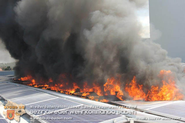 20190715 Brand mehrerer Photovoltaikpaneele am Dach einer Halle im Gewerbepark-Traiskirchen Foto: © Hans Dietl FF Möllersdorf 20190715 Brand mehrerer Photovoltaikpaneele am Dach einer Halle im Gewerbepark-Traiskirchen Foto: © Hans Dietl FF Möllersdorf