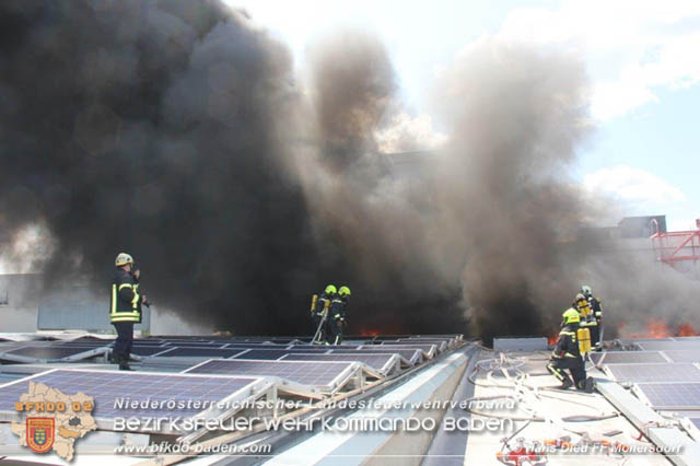 20190715 Brand mehrerer Photovoltaikpaneele am Dach einer Halle im Gewerbepark-Traiskirchen Foto: © Hans Dietl FF Möllersdorf 20190715 Brand mehrerer Photovoltaikpaneele am Dach einer Halle im Gewerbepark-Traiskirchen Foto: © Hans Dietl FF Möllersdorf