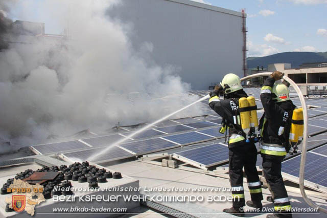 20190715 Brand mehrerer Photovoltaikpaneele am Dach einer Halle im Gewerbepark-Traiskirchen Foto: © Hans Dietl FF Möllersdorf 20190715 Brand mehrerer Photovoltaikpaneele am Dach einer Halle im Gewerbepark-Traiskirchen Foto: © Hans Dietl FF Möllersdorf