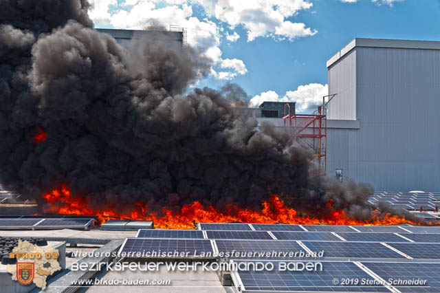 20190715 Brand mehrerer Photovoltaikpaneele am Dach einer Halle im Gewerbepark-Traiskirchen Foto: © Stefan Schneider BFK Baden 20190715 Brand mehrerer Photovoltaikpaneele am Dach einer Halle im Gewerbepark-Traiskirchen Foto: © Stefan Schneider BFK Baden