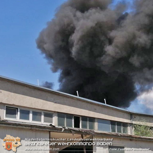 20190715 Brand mehrerer Photovoltaikpaneele am Dach einer Halle im Gewerbepark-Traiskirchen Foto: © Freiwillige Feuerwerh Wienersdorf 20190715 Brand mehrerer Photovoltaikpaneele am Dach einer Halle im Gewerbepark-Traiskirchen Foto: © Freiwillige Feuerwerh Wienersdorf