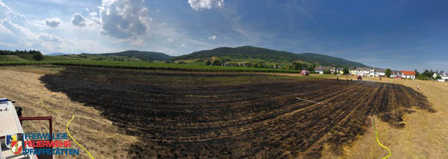 20190720 Größerer Flurbrand in Pfaffstätten Foto: © FF Pfaffstätten
