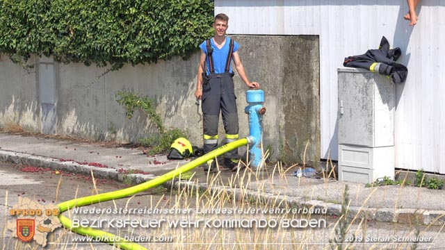 20190720 Größerer Flurbrand in Pfaffstätten Foto: © Stefan Schneider