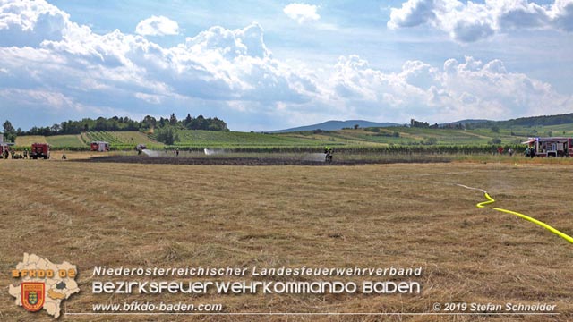 20190720 Größerer Flurbrand in Pfaffstätten Foto: © Stefan Schneider