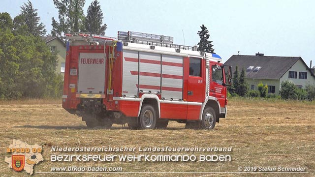 20190720 Größerer Flurbrand in Pfaffstätten Foto: © Stefan Schneider