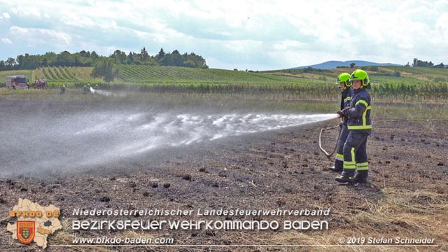 20190720 Größerer Flurbrand in Pfaffstätten Foto: © Stefan Schneider
