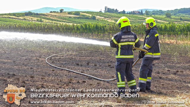 20190720 Größerer Flurbrand in Pfaffstätten Foto: © Stefan Schneider