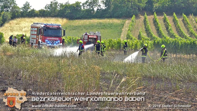 20190720 Größerer Flurbrand in Pfaffstätten Foto: © Stefan Schneider