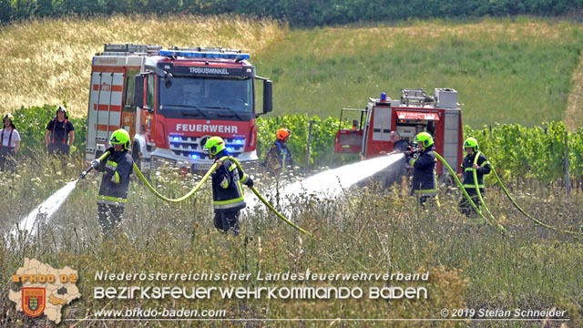 20190720 Größerer Flurbrand in Pfaffstätten Foto: © Stefan Schneider
