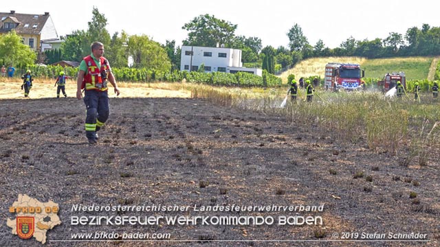 20190720 Größerer Flurbrand in Pfaffstätten Foto: © Stefan Schneider