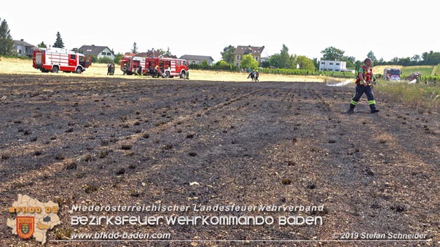 20190720 Größerer Flurbrand in Pfaffstätten Foto: © Stefan Schneider
