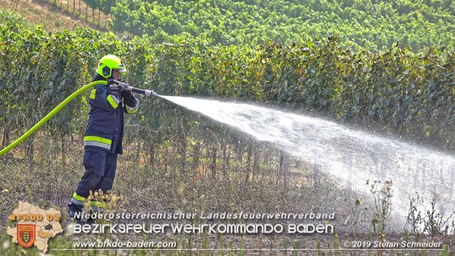20190720 Größerer Flurbrand in Pfaffstätten Foto: © Stefan Schneider