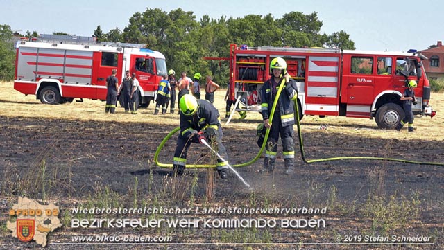 20190720 Größerer Flurbrand in Pfaffstätten Foto: © Stefan Schneider
