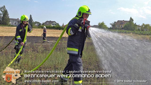 20190720 Größerer Flurbrand in Pfaffstätten Foto: © Stefan Schneider