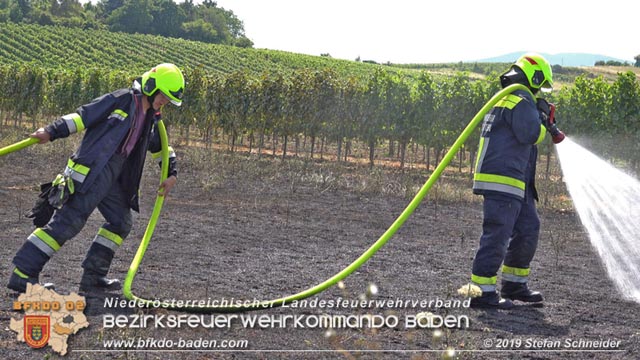 20190720 Größerer Flurbrand in Pfaffstätten Foto: © Stefan Schneider