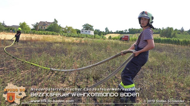 20190720 Größerer Flurbrand in Pfaffstätten Foto: © Stefan Schneider