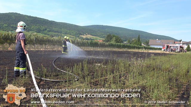 20190720 Größerer Flurbrand in Pfaffstätten Foto: © Stefan Schneider
