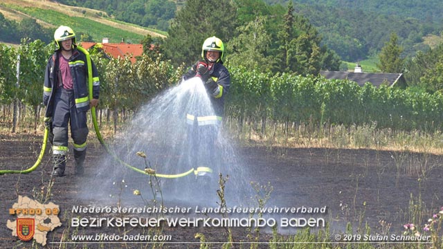 20190720 Größerer Flurbrand in Pfaffstätten Foto: © Stefan Schneider