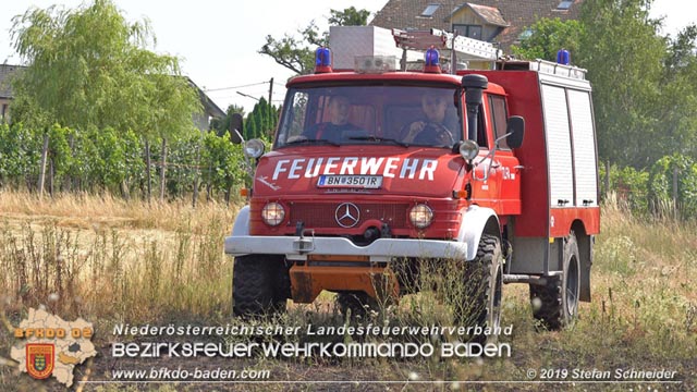 20190720 Größerer Flurbrand in Pfaffstätten Foto: © Stefan Schneider