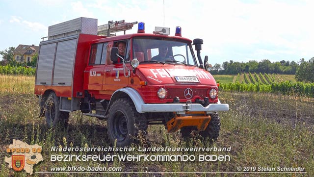 20190720 Größerer Flurbrand in Pfaffstätten Foto: © Stefan Schneider