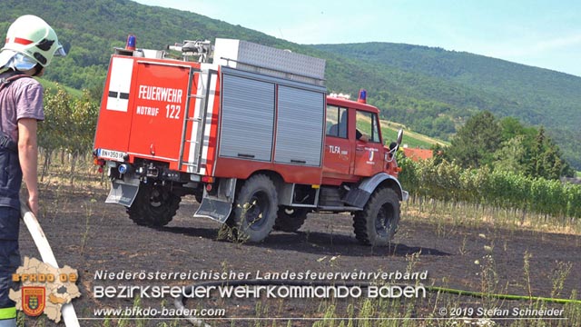 20190720 Größerer Flurbrand in Pfaffstätten Foto: © Stefan Schneider