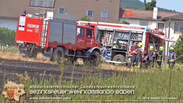 20190720 Größerer Flurbrand in Pfaffstätten Foto: © Stefan Schneider