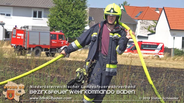 20190720 Größerer Flurbrand in Pfaffstätten Foto: © Stefan Schneider