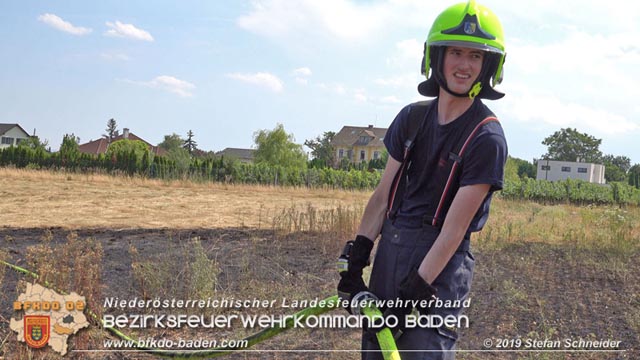 20190720 Größerer Flurbrand in Pfaffstätten Foto: © Stefan Schneider