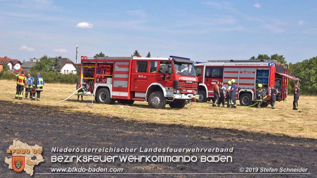20190720 Größerer Flurbrand in Pfaffstätten Foto: © Stefan Schneider