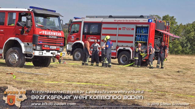 20190720 Größerer Flurbrand in Pfaffstätten Foto: © Stefan Schneider