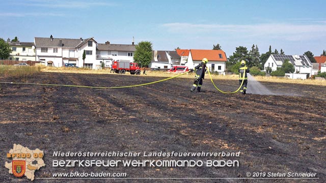 20190720 Größerer Flurbrand in Pfaffstätten Foto: © Stefan Schneider