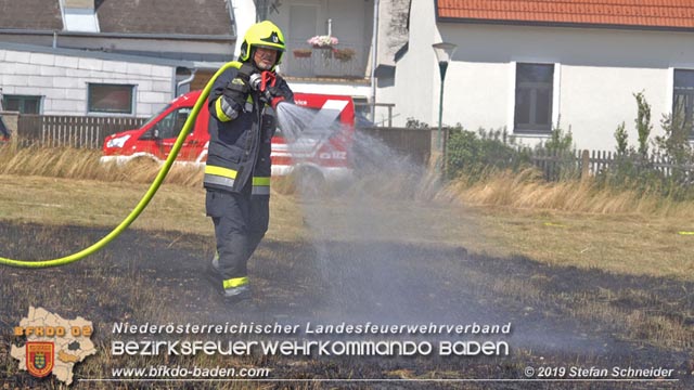 20190720 Größerer Flurbrand in Pfaffstätten Foto: © Stefan Schneider
