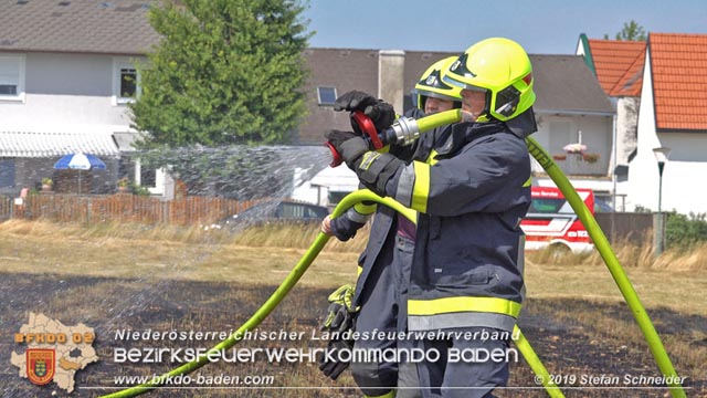 20190720 Größerer Flurbrand in Pfaffstätten Foto: © Stefan Schneider