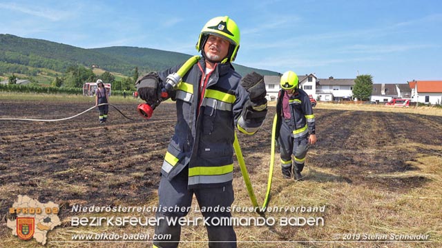20190720 Größerer Flurbrand in Pfaffstätten Foto: © Stefan Schneider