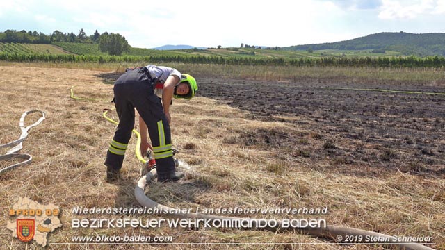 20190720 Größerer Flurbrand in Pfaffstätten Foto: © Stefan Schneider