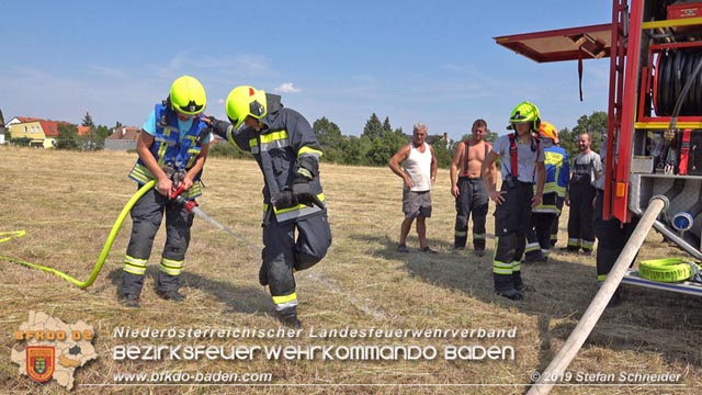 20190720 Größerer Flurbrand in Pfaffstätten Foto: © Stefan Schneider