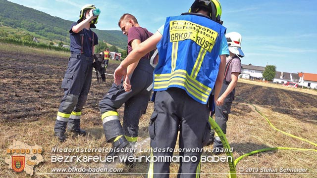 20190720 Größerer Flurbrand in Pfaffstätten Foto: © Stefan Schneider