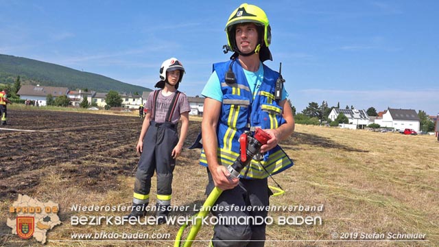 20190720 Größerer Flurbrand in Pfaffstätten Foto: © Stefan Schneider